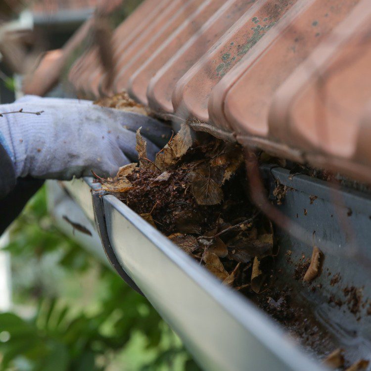 Roofing and solar services in Wylie, TX Roofing and solar services in Wylie, TX